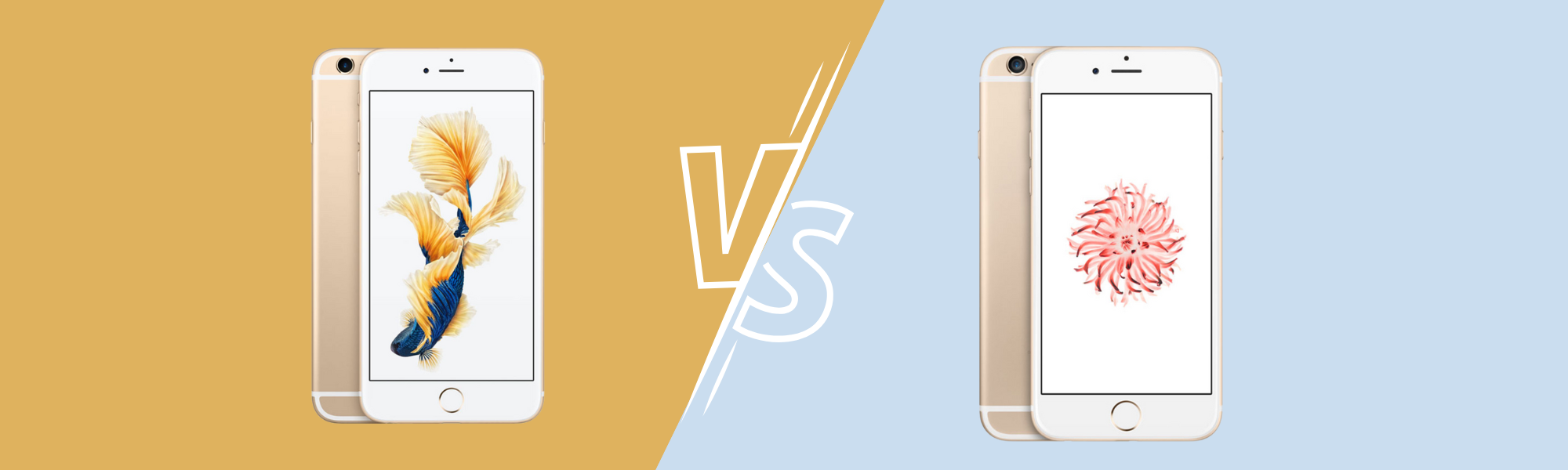 difference between iphone 6s and iphone 6 plus