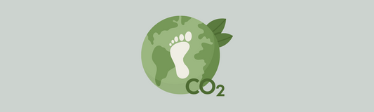 10 tips on how to reduce your carbon footprint
